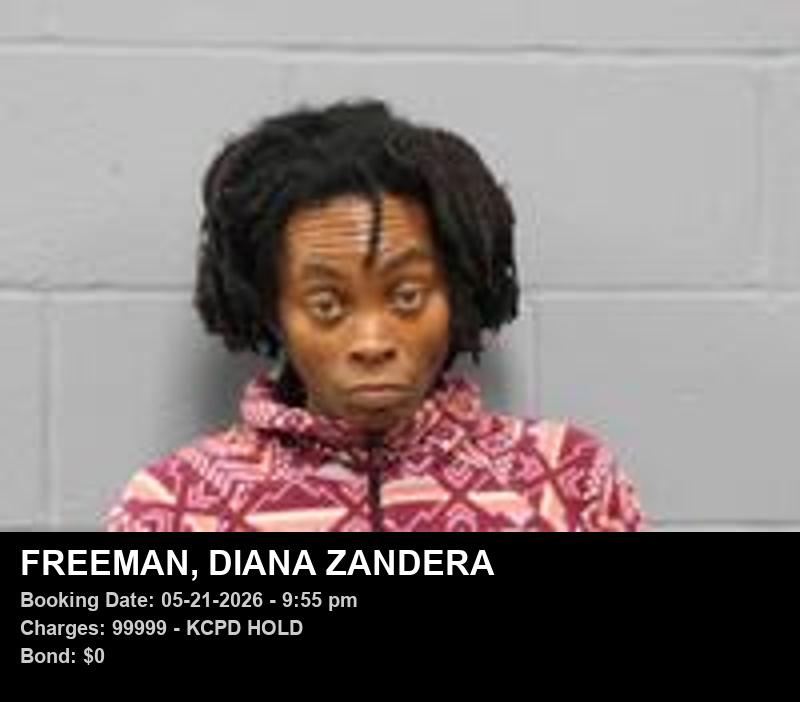 DIANA ZANDERA FREEMAN booking photo