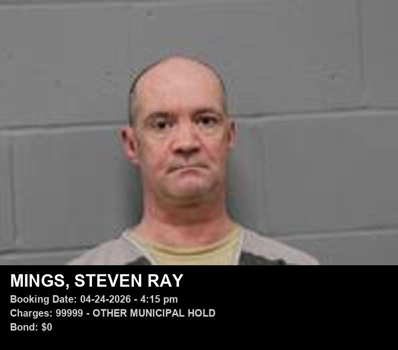 STEVEN RAY MINGS booking photo