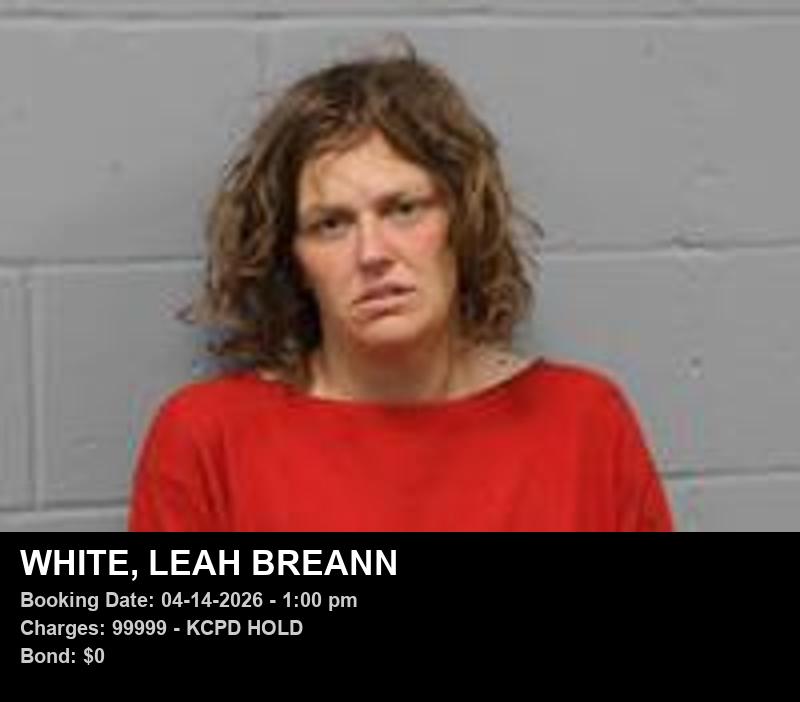 LEAH BREANN WHITE booking photo