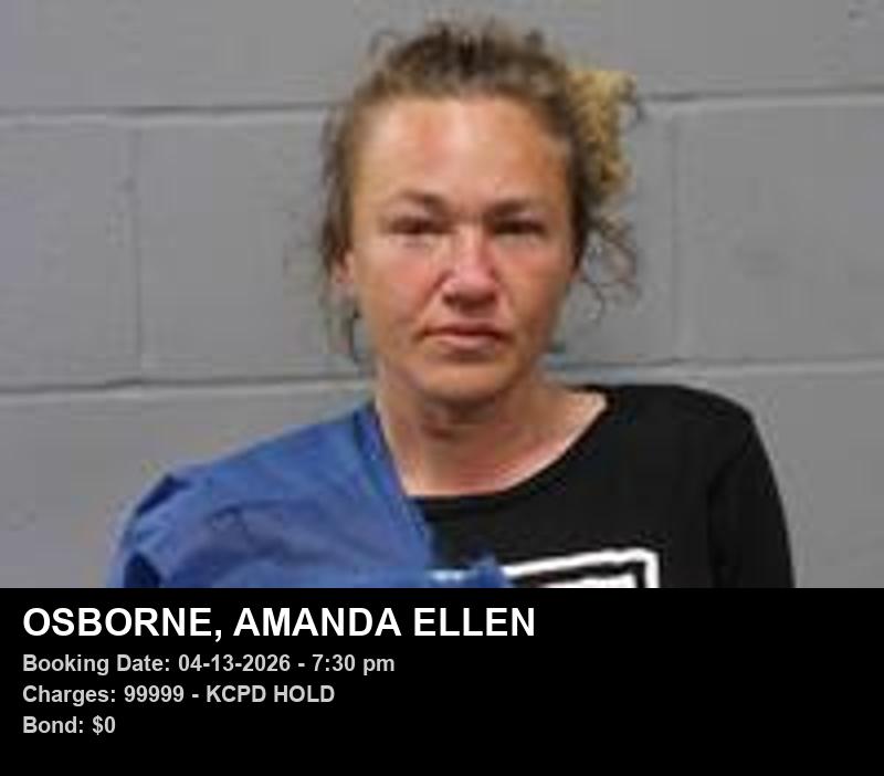 AMANDA ELLEN OSBORNE booking photo