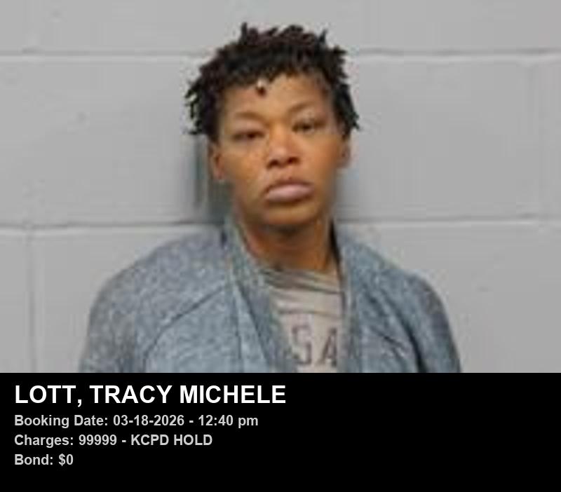 TRACY MICHELE LOTT booking photo
