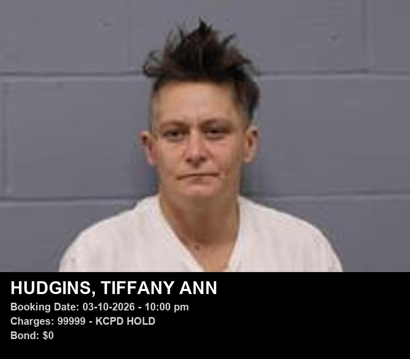 TIFFANY ANN HUDGINS booking photo