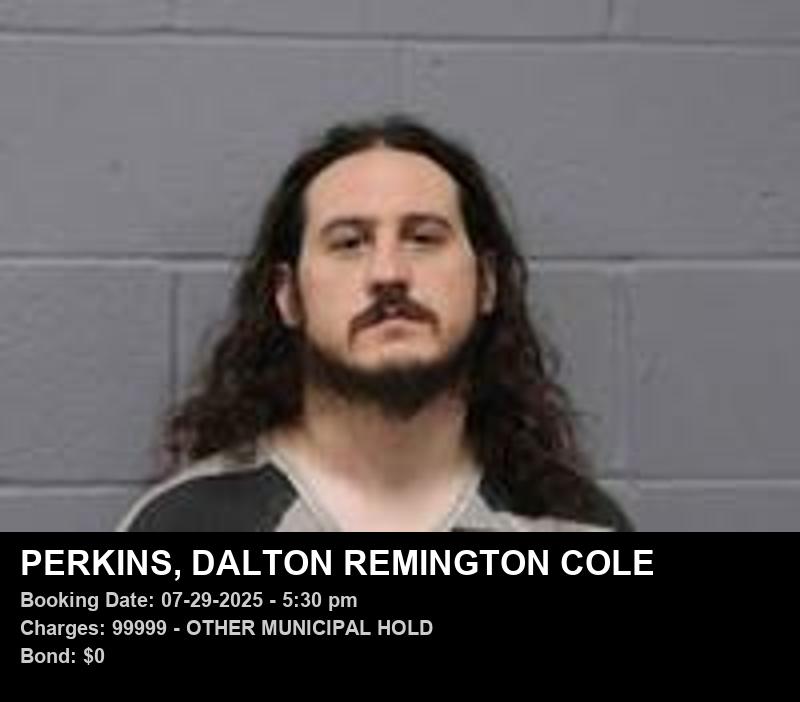 DALTON REMINGTON COLE PERKINS booking photo