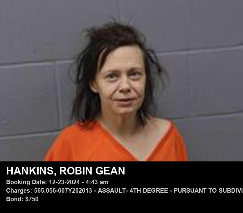 ROBIN GEAN HANKINS booking photo