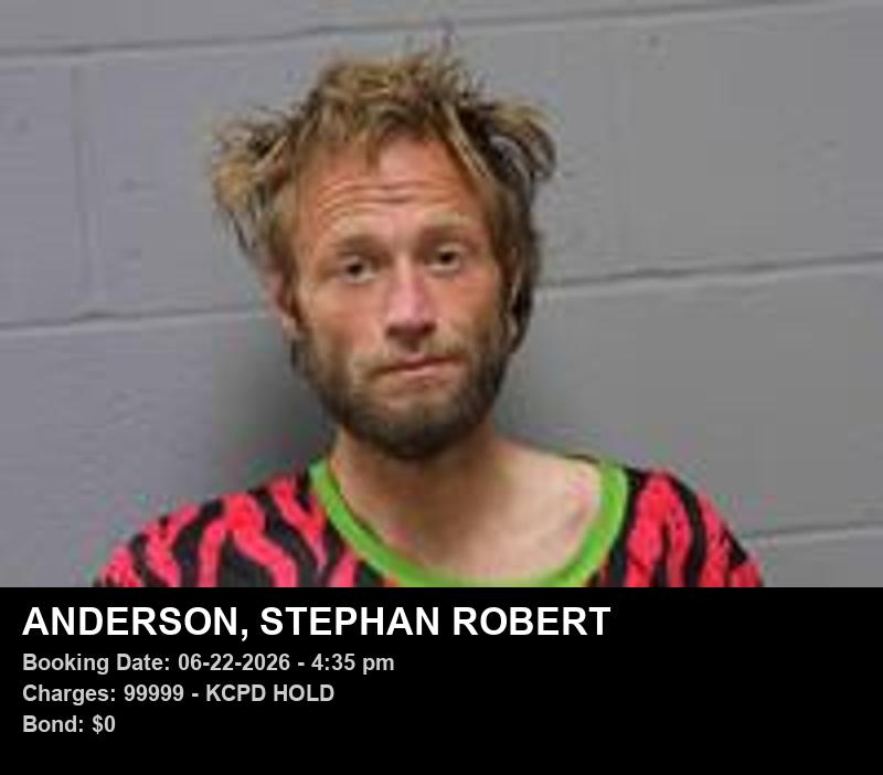 STEPHAN ROBERT ANDERSON booking photo