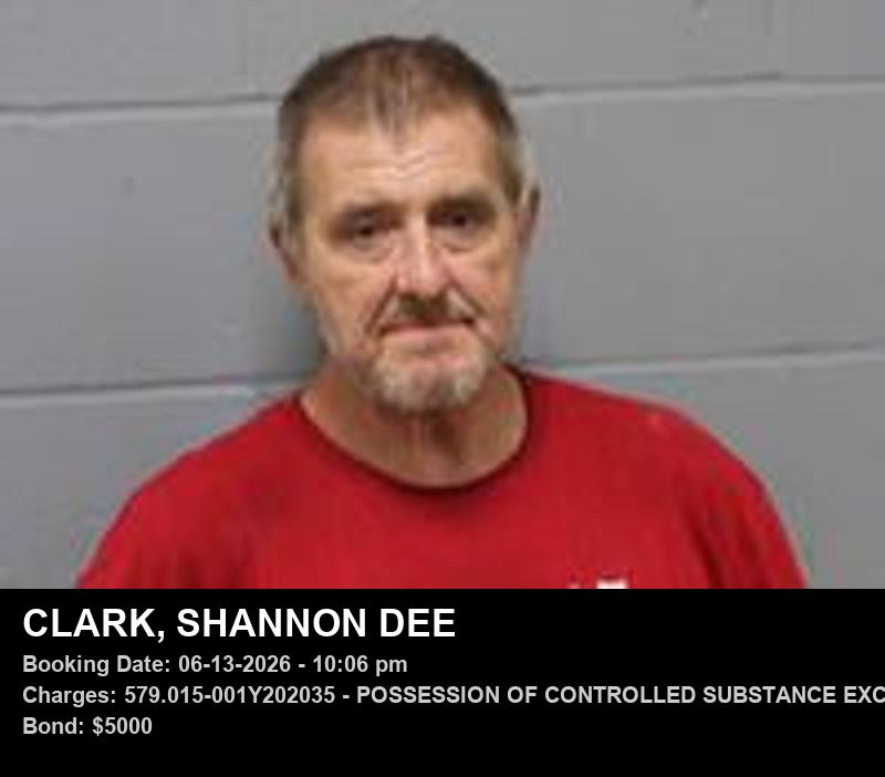 SHANNON DEE CLARK booking photo