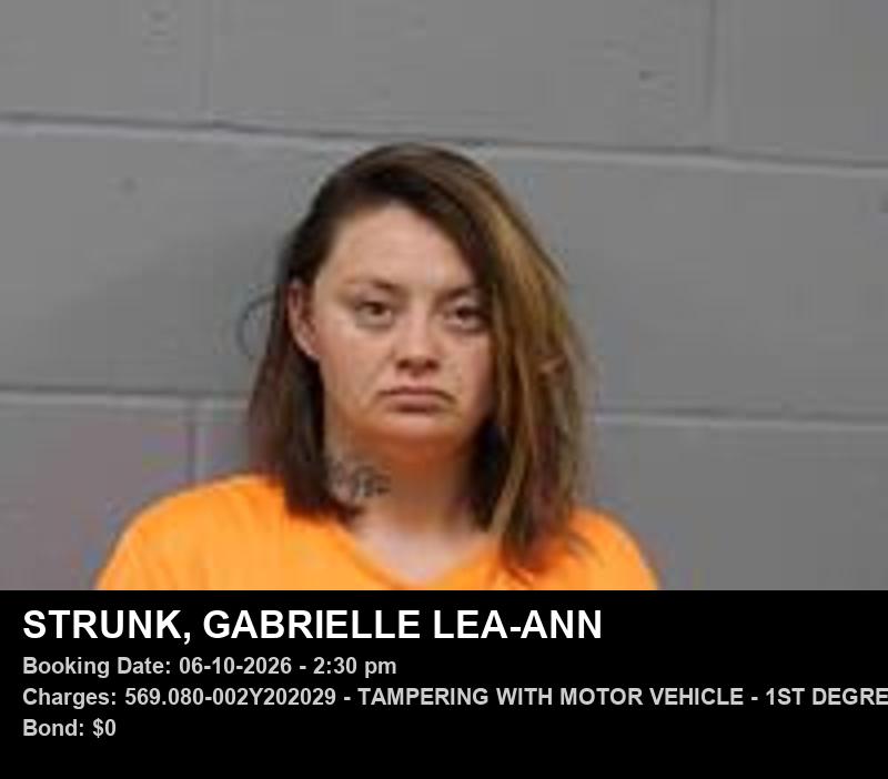 GABRIELLE LEA-ANN STRUNK booking photo