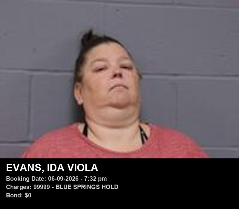 IDA VIOLA EVANS booking photo