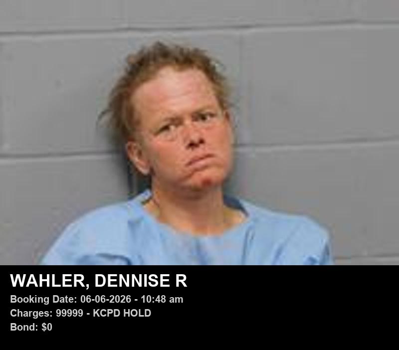 DENNISE R WAHLER booking photo