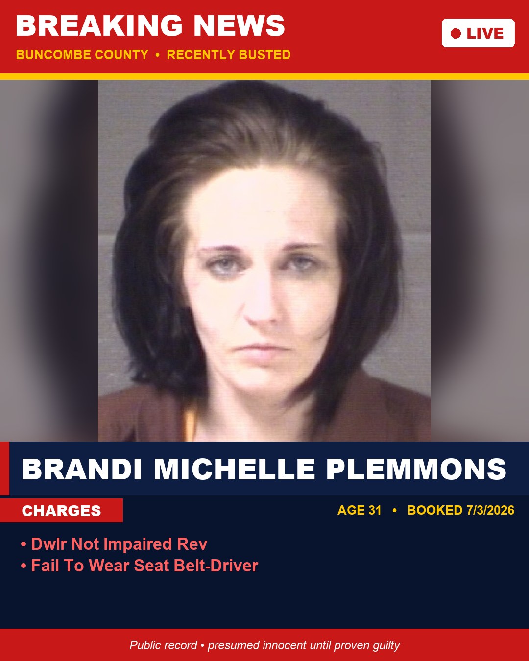 BRANDI MICHELLE PLEMMONS booking photo