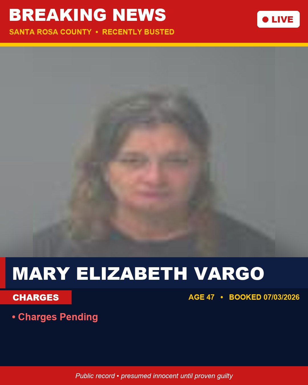 Mary Elizabeth Vargo booking photo