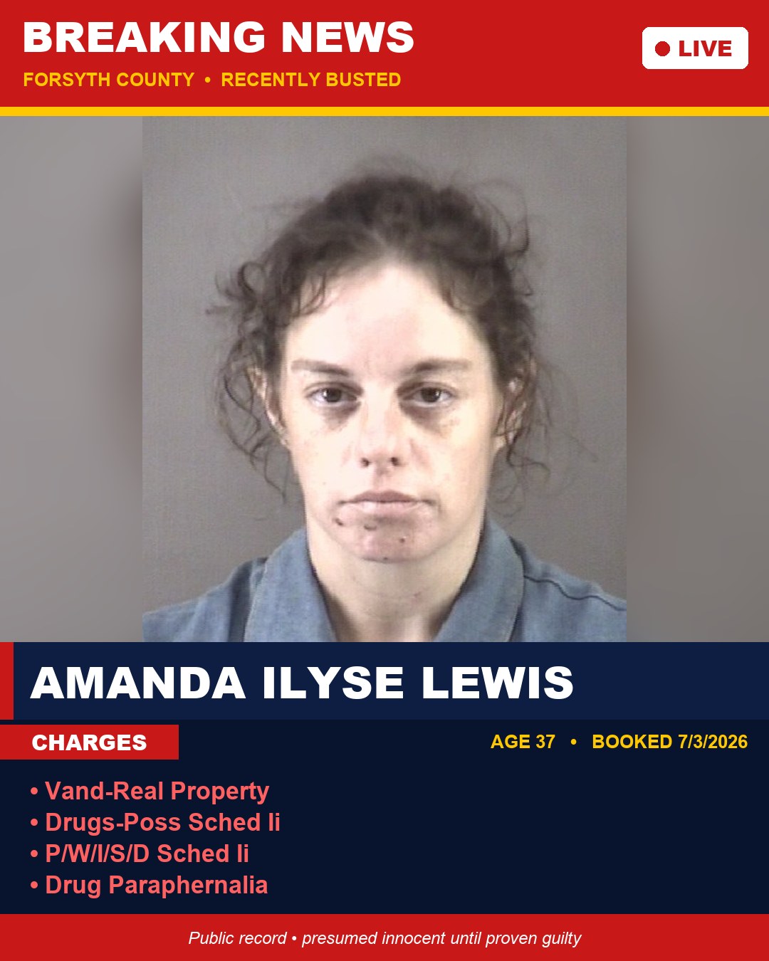 AMANDA ILYSE LEWIS booking photo