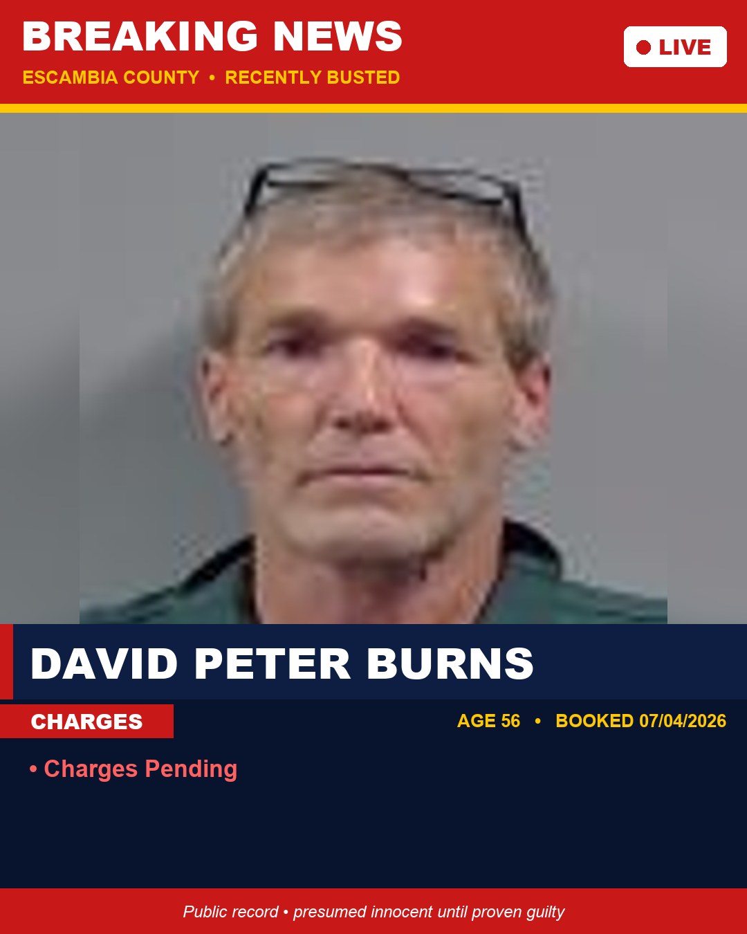 David Peter Burns booking photo