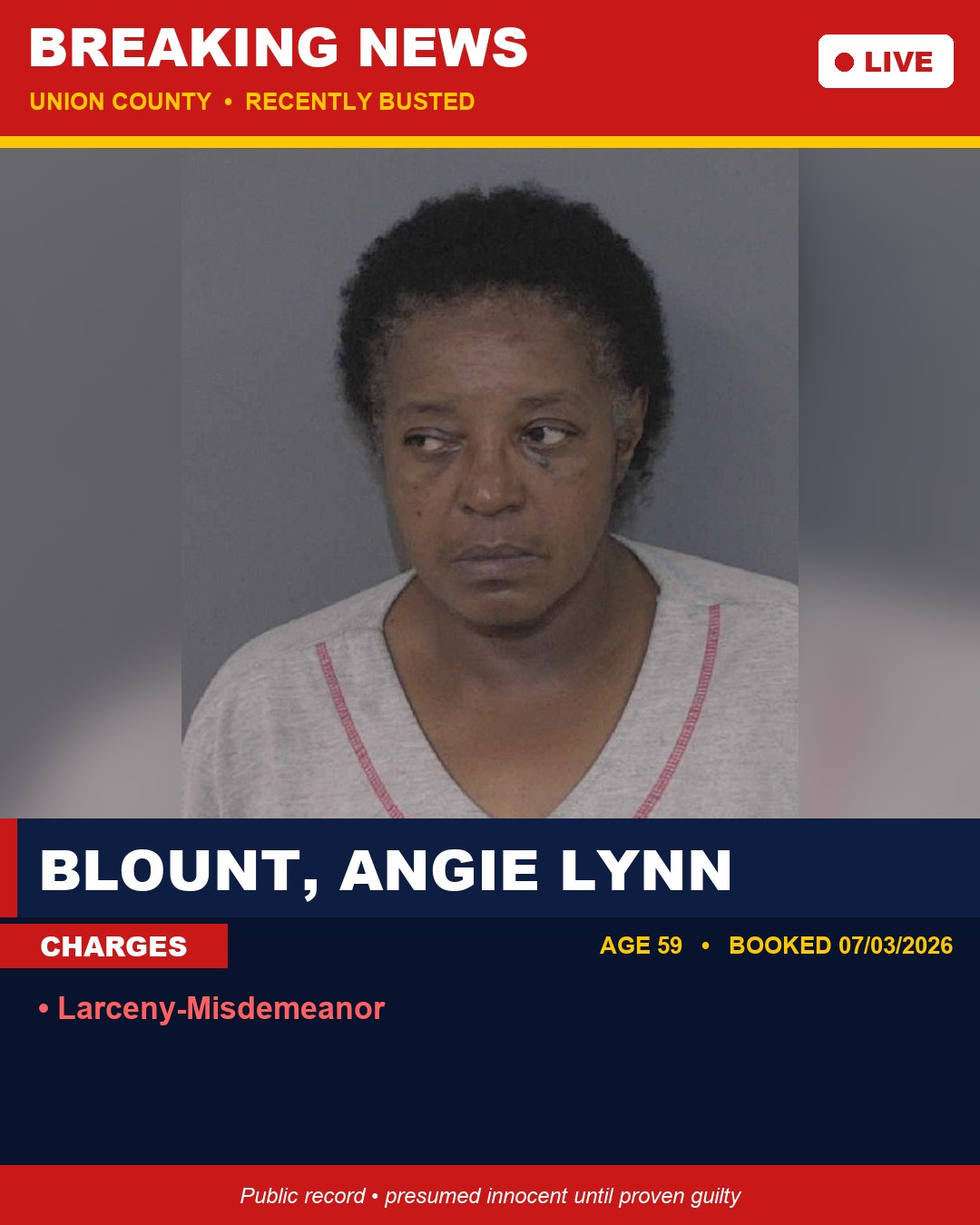 BLOUNT, ANGIE LYNN booking photo